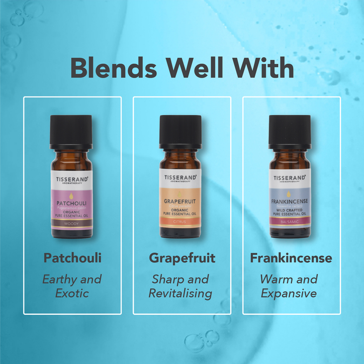 Tisserand Cypress Wild Crafted Pure Essential Oil 9ml | H&B
